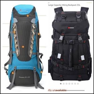 Pair of large volume backpacks - backpacking
